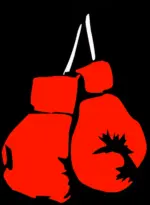 Boxing Gloves - Image 3